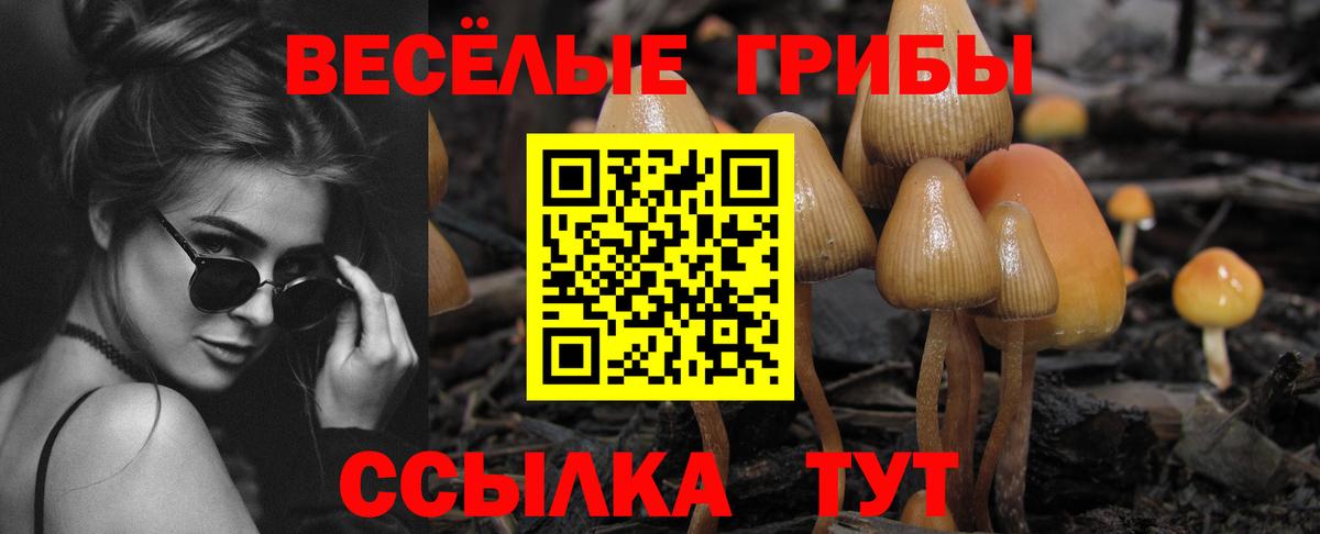 МЕФ Можайск